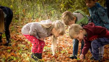 Kinder spielen im Herbstlaub