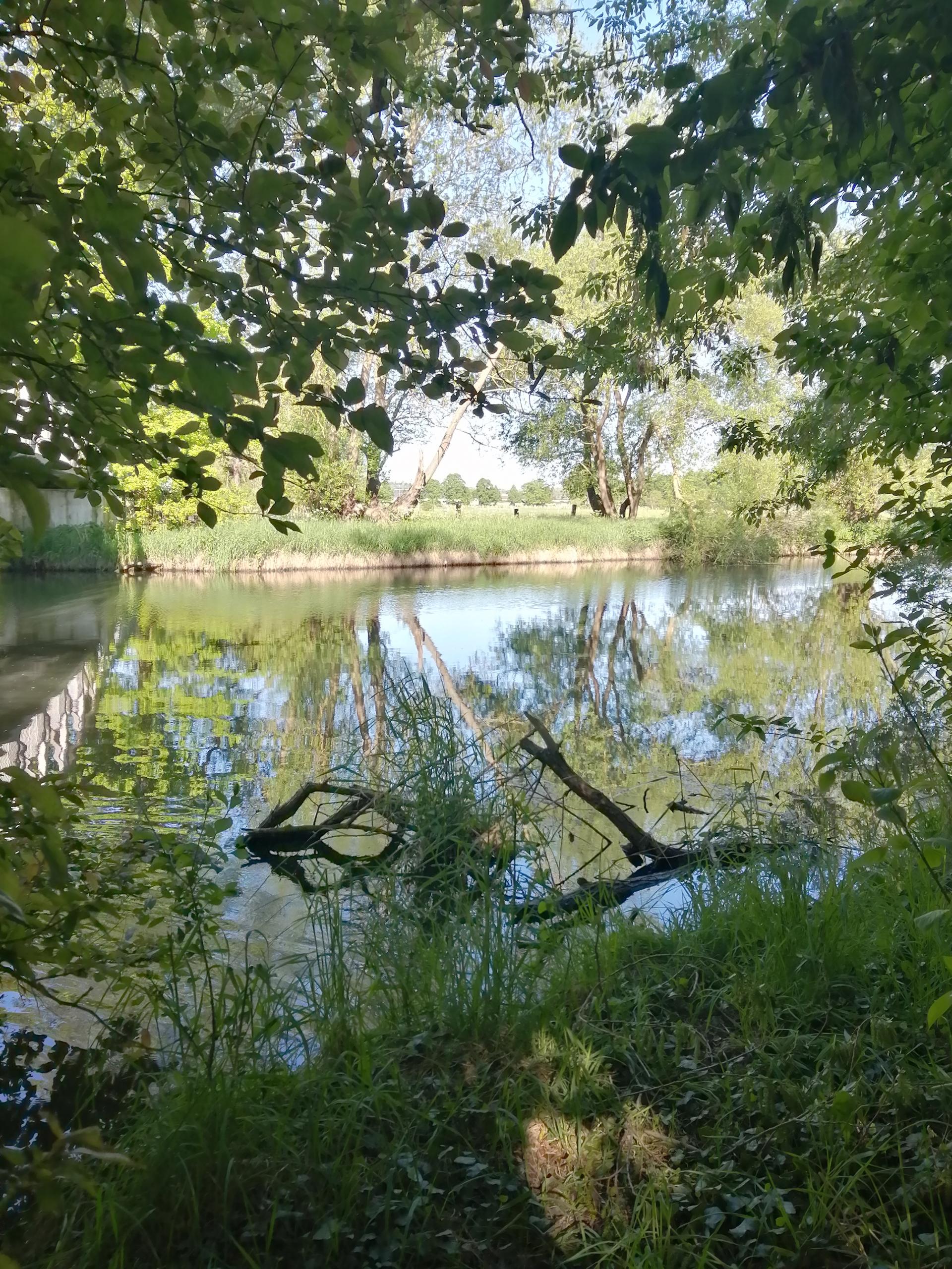 ufer