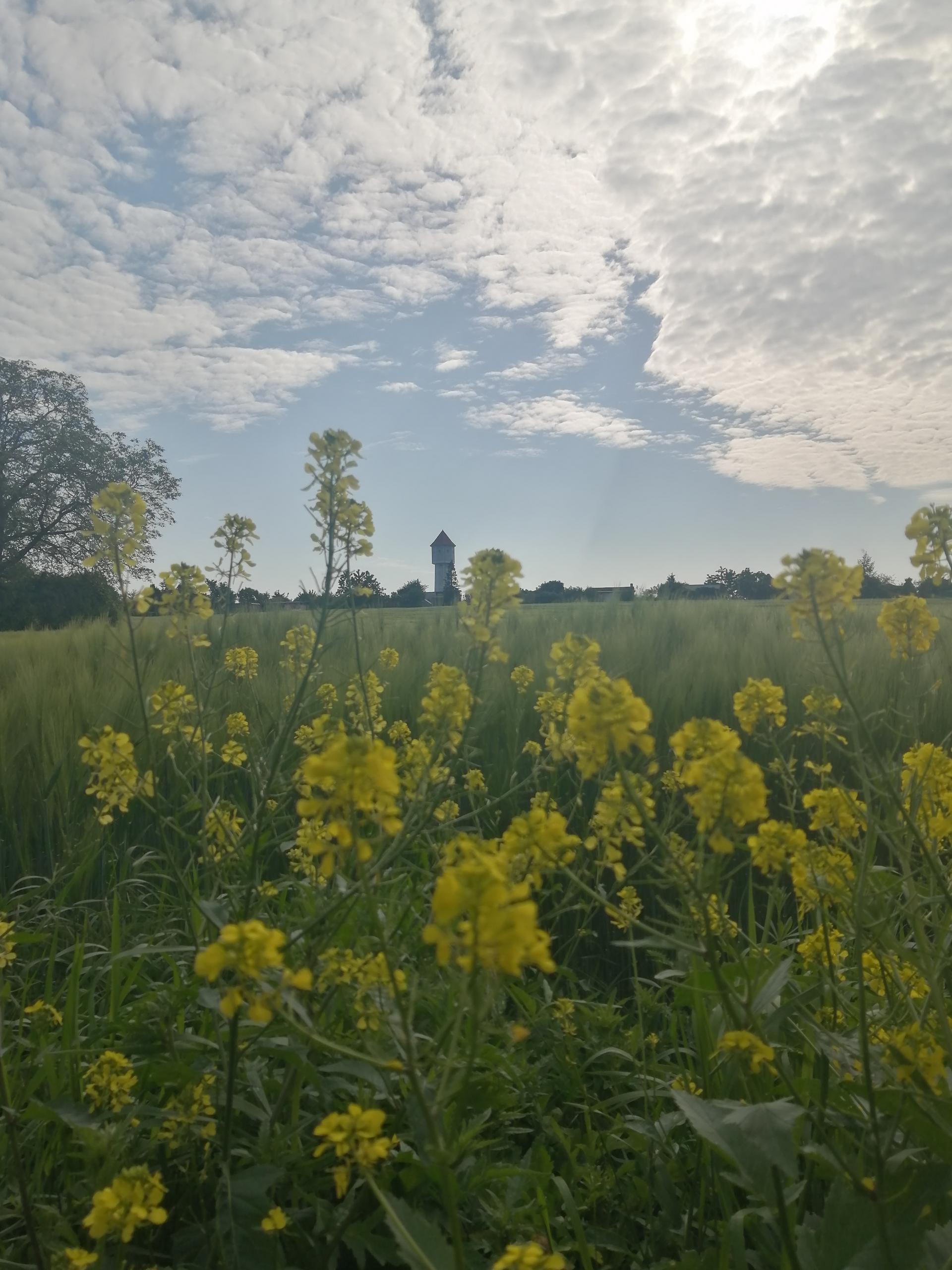 wasserturm