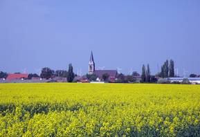 Atzendorf