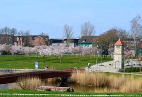 Stadtsee
