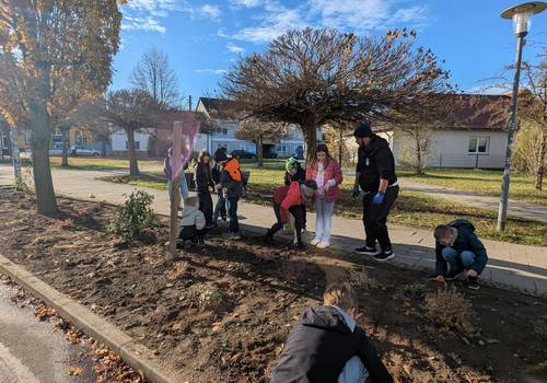 Pflanzaktion GS Löderburg (2)