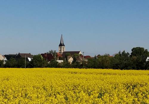 atzendorf © Annemarie Schuster