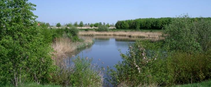 Angelgewässer in Atzendorf